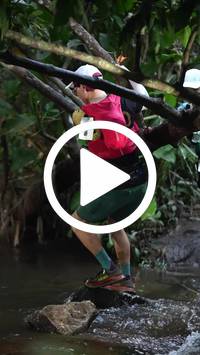 BIB:  <button type="button" onclick="openModal(27240980)" class="btn btn-primary btn-sm float-right" data-toggle="modal" data-target=".modal-high-quality">
                <i class="fa fa-download"></i> Download
                </button>